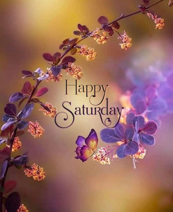 Happy Saturday Wishes