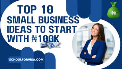 Small Business Ideas to Start with ₦100k